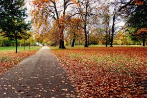 What’s on in London in autumn